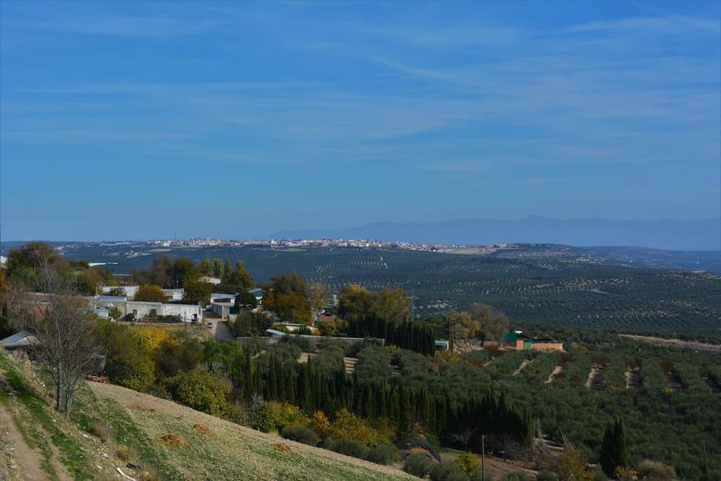 شقة Mirador Del Guadalquivir بايثا المظهر الخارجي الصورة